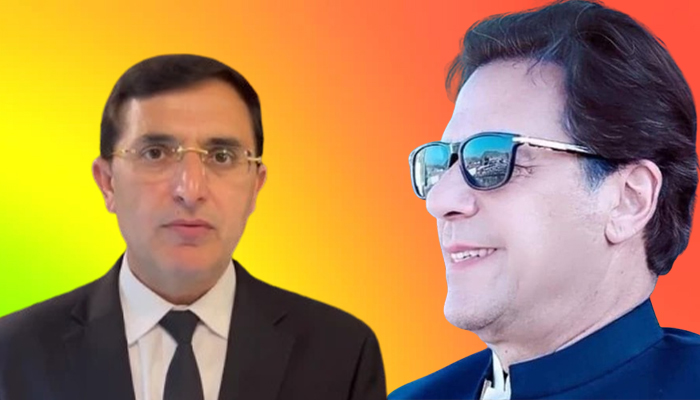 عمران خان نے پارٹی کی چیئرمین شپ اپنے ذمے لے لی، بیرسٹر گوہر فارغ