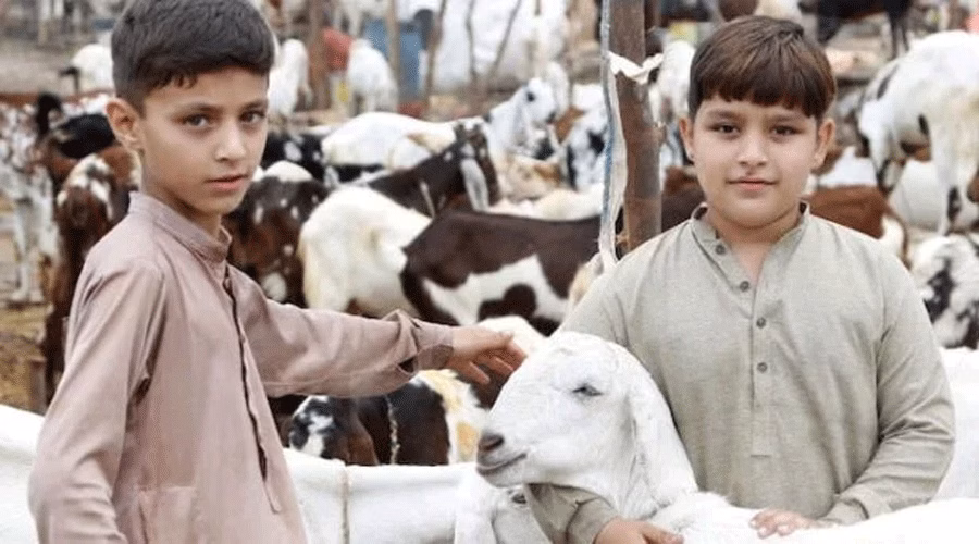عیدالاضحیٰ کی تعطیلات 6 کے بجائے 5 جون سے کرنے کا اعلان